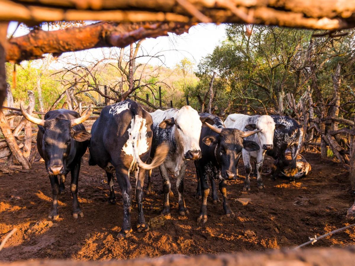 Aha Lesedi African Lodge & Cultural Village Broederstroom Eksteriør billede